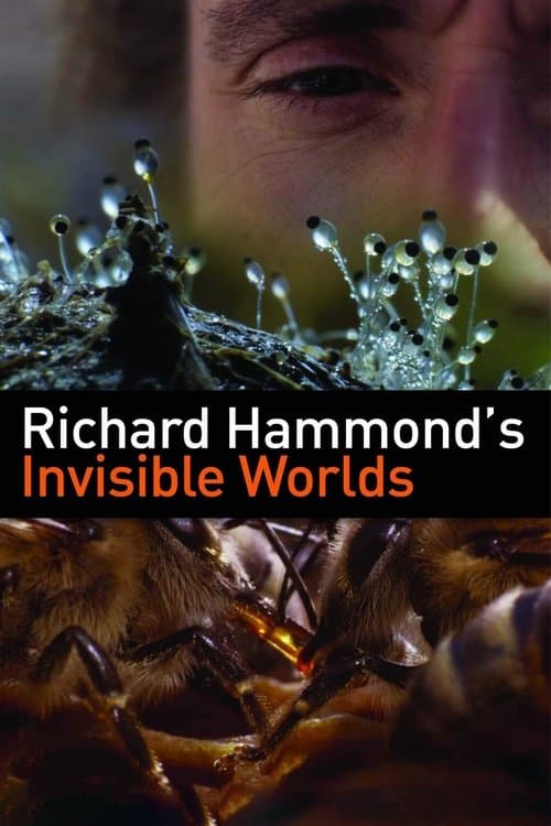 Richard Hammond's Invisible Worlds Season 1 poster