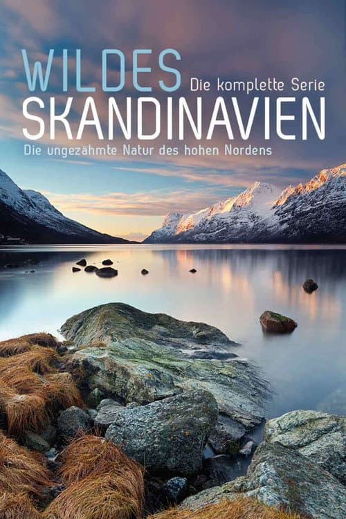 Wild Scandinavia Season 1 poster