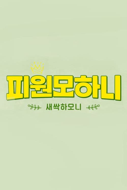 Saessak Harmony Season 1 poster