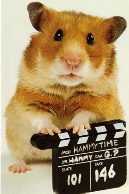 Once Upon a Hamster Season 2 poster