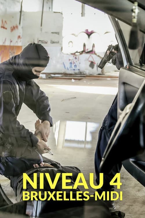 Niveau 4 Brussels South poster