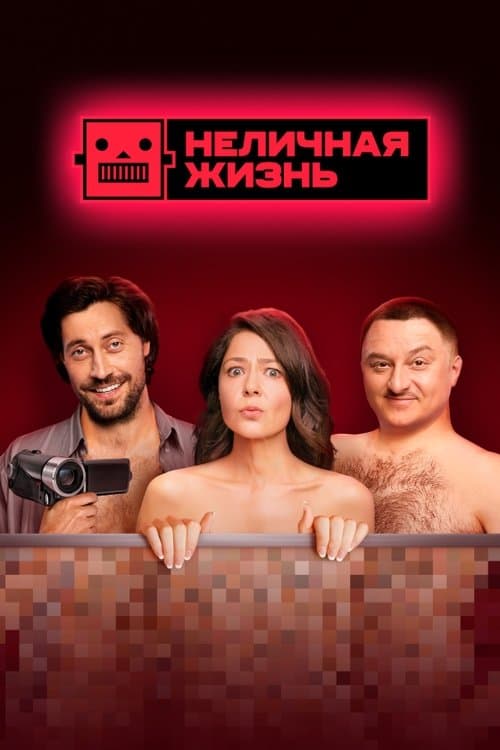 Not a Personal Life Season 1 poster