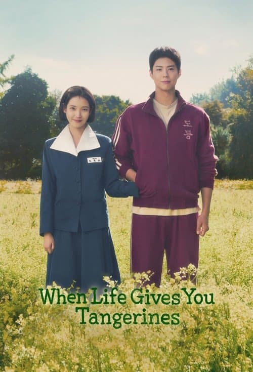 When Life Gives You Tangerines Limited Series poster