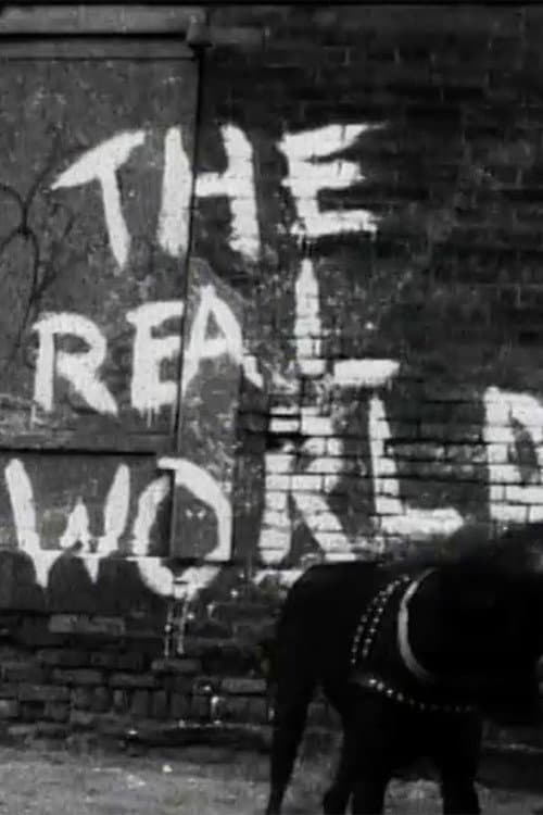 The Real World New York City poster