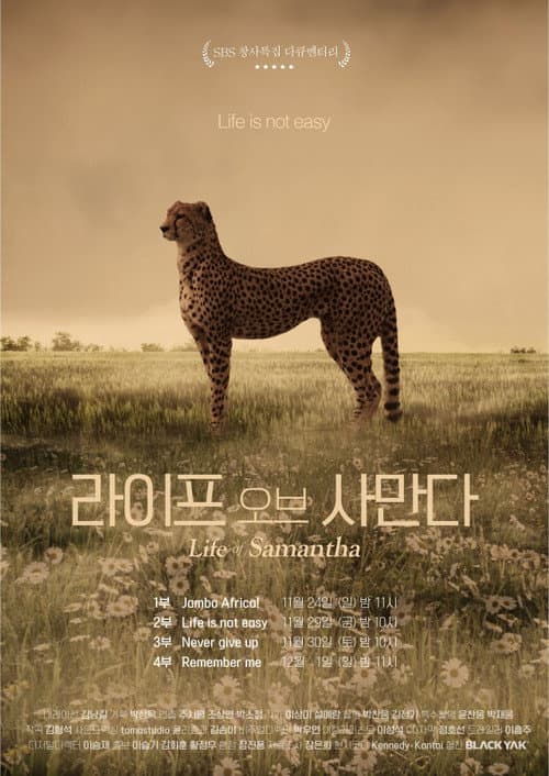 Life of Samantha Season 1 poster