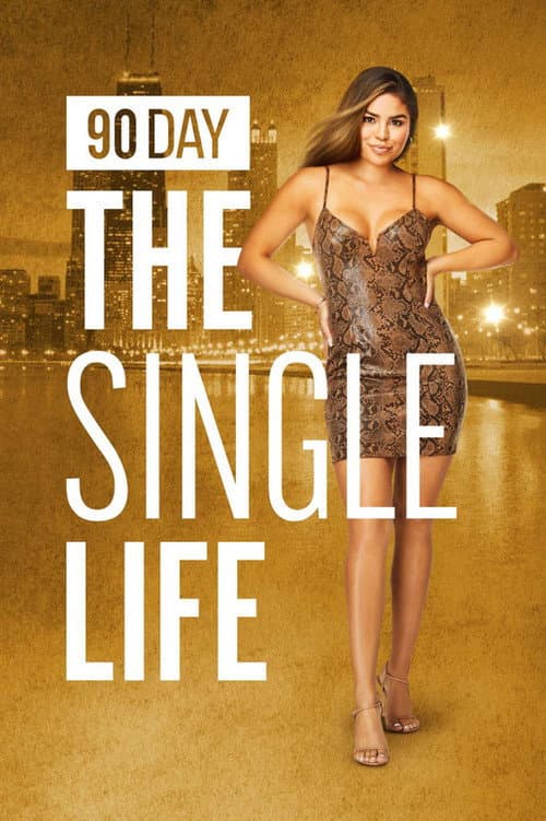 90 Day: The Single Life Season 1 poster