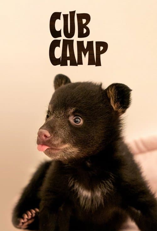Cub Camp Season 1 poster