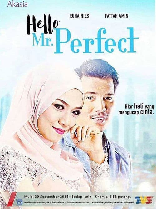 Hello, Mr. Perfect! Season 1 poster