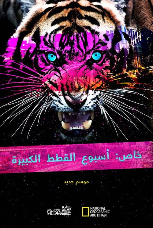 Big Cat Week Collection Season 1 poster