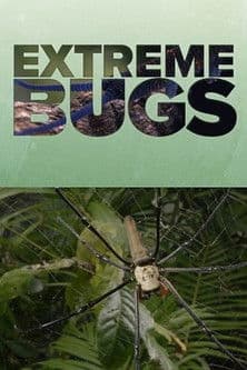 Extreme Bugs Miniseries poster