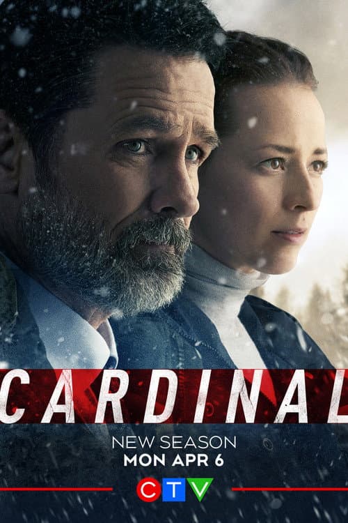 Cardinal Until the Night poster