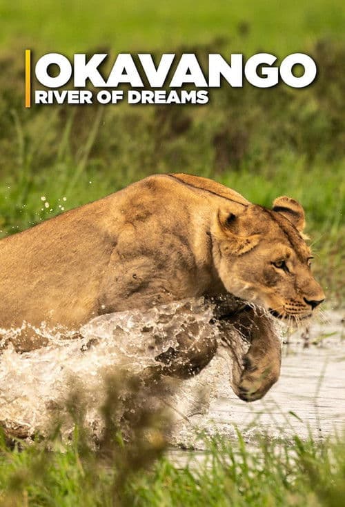Okavango: River of Dreams Season 1 poster