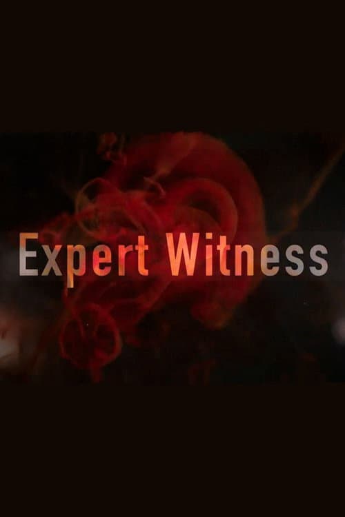 Expert Witness Series 2 poster