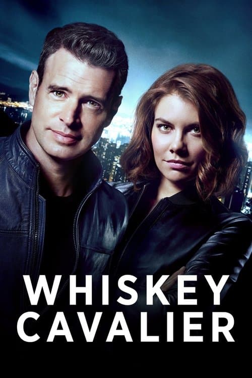 Whiskey Cavalier Season 1 poster