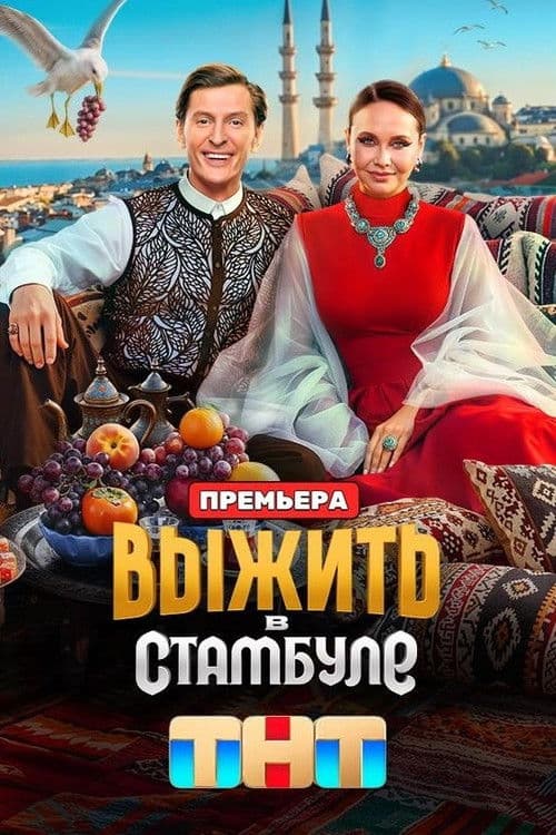 Survive in … Survive in Istanbul poster