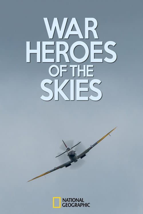 War Heroes of the Skies Season 1 poster