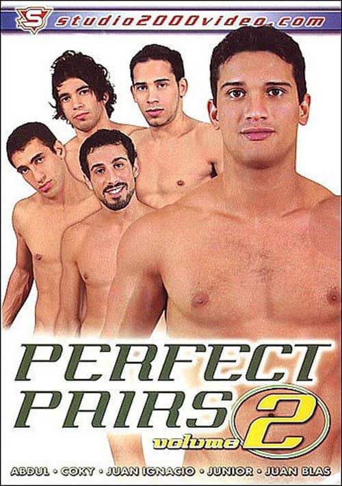 Perfect Pairs 2