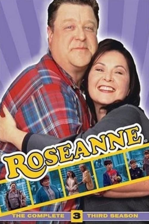 Roseanne Season 3 poster