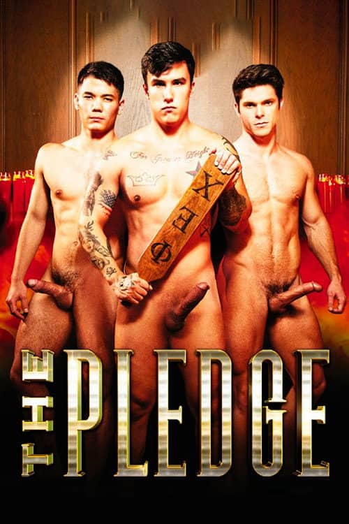 The Pledge