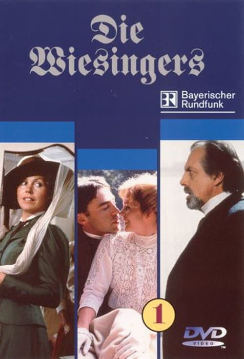 Die Wiesingers Season 2 poster