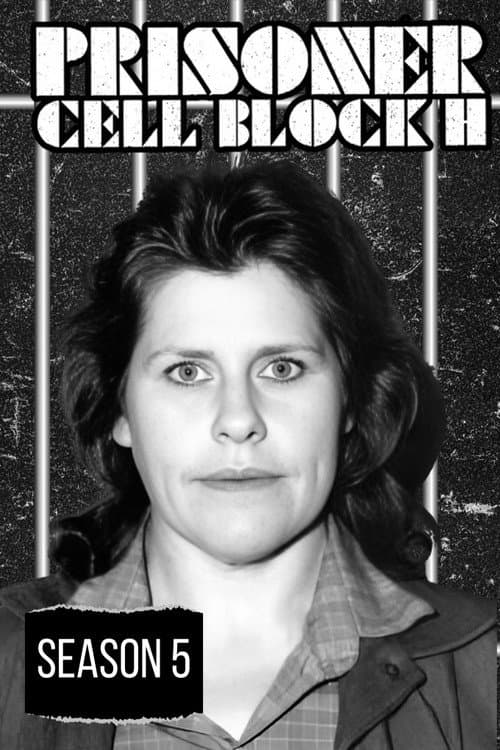 Prisoner Season 5 poster
