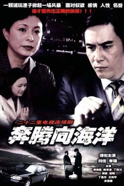 奔腾向海洋 Season 1 poster