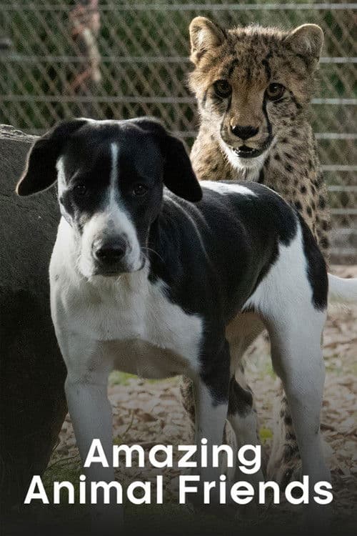 Amazing Animal Friends Season 1 poster