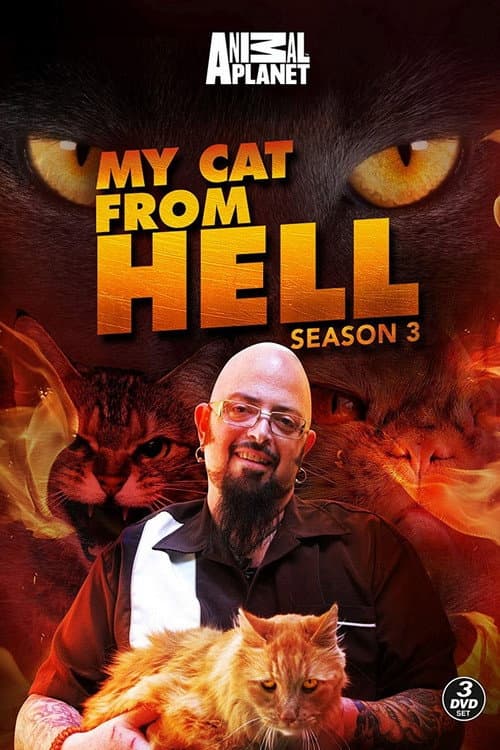 My Cat from Hell Season 3 poster