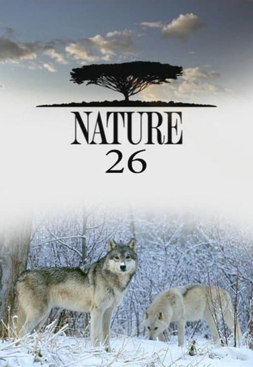 Nature Season 26 poster