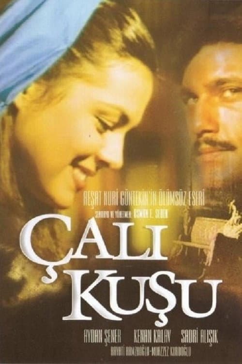 Çalıkuşu Season 1 poster