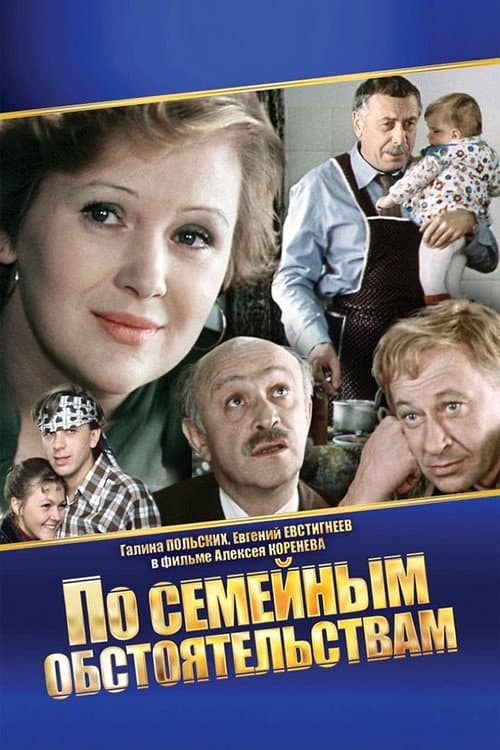 Domestic Circumstances Season 1 poster