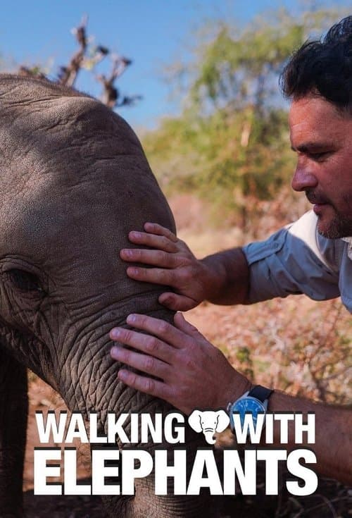 Walking With Elephants Season 1 poster