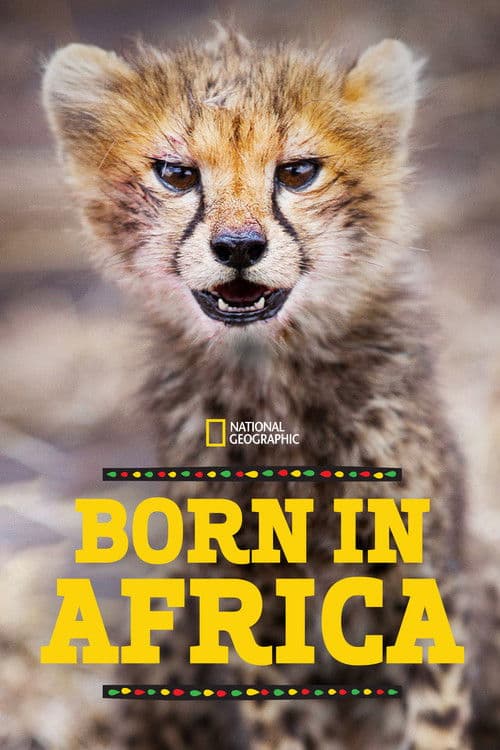 Born in Africa Season 1 poster
