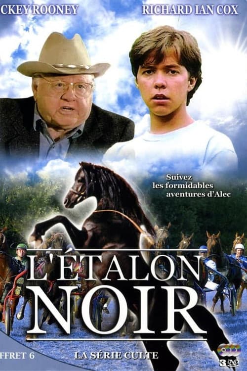 The Adventures of the Black Stallion Season 2 poster