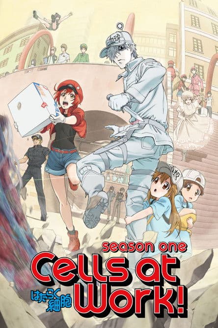 Cells at Work! Cells at Work! poster