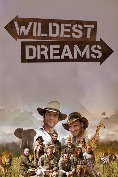 Wildest Dreams Season 1 poster