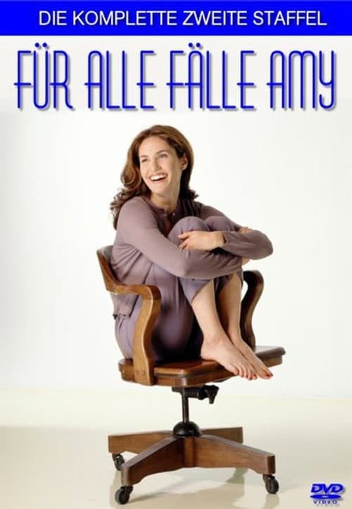 Judging Amy Season 2 poster