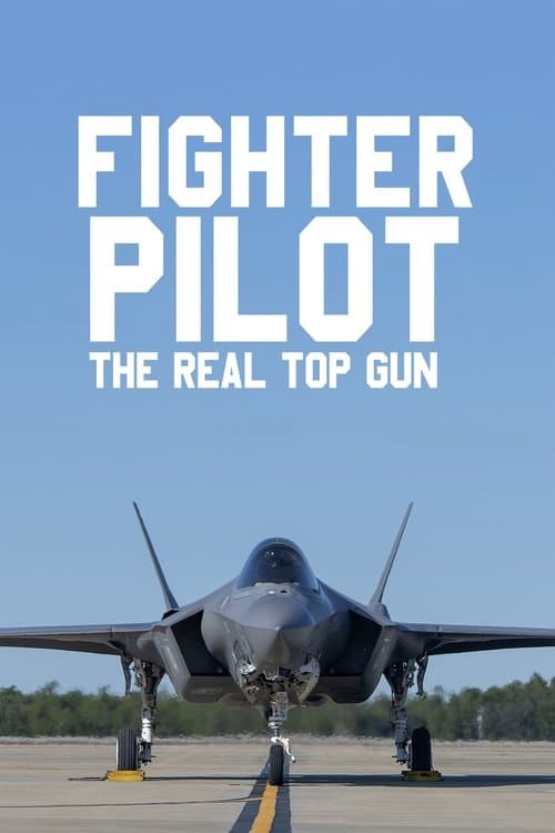 Fighter Pilot: The Real Top Gun Season 1 poster