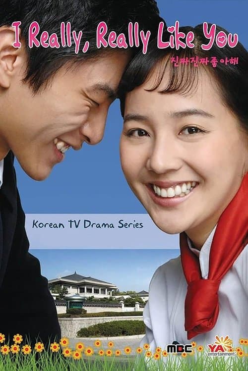 I Really Really Like You Season 1 poster