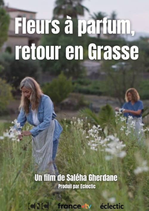 Fleurs à parfum, retour en Grasse