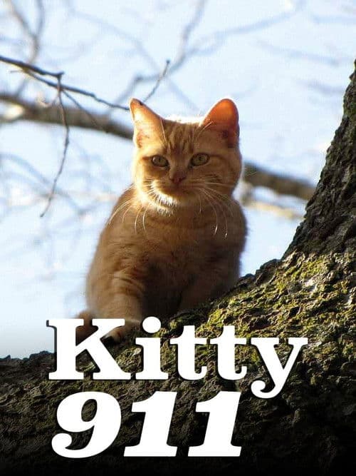 Kitty 911 Season 1 poster