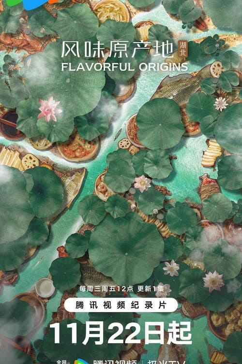 Flavorful Origins Flavorful Origins: Hubei poster